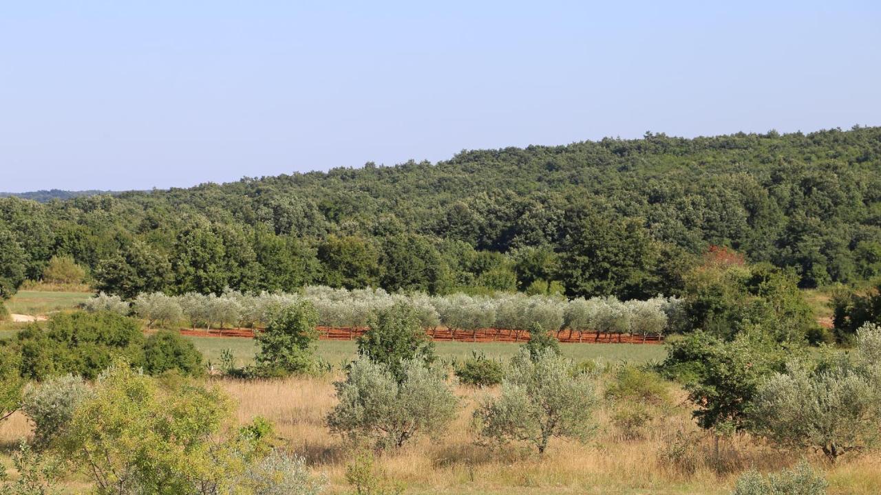 Casa Conte Istria Villa Kanfanar Bagian luar foto